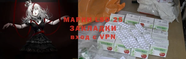 гидра Коряжма