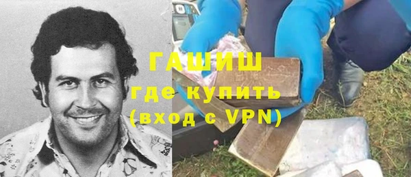 гидра Коряжма