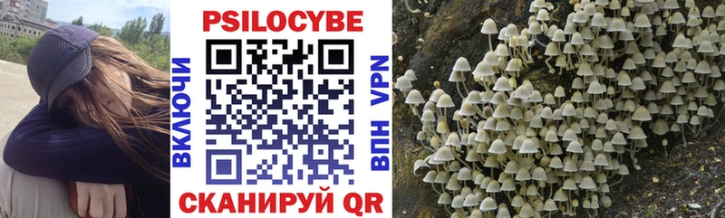 Псилоцибиновые грибы MAGIC MUSHROOMS  Купить где  Кандалакша 