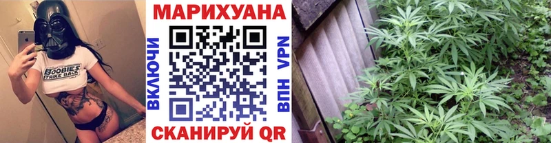 Бошки марихуана THC 21%  Купить  Кандалакша 